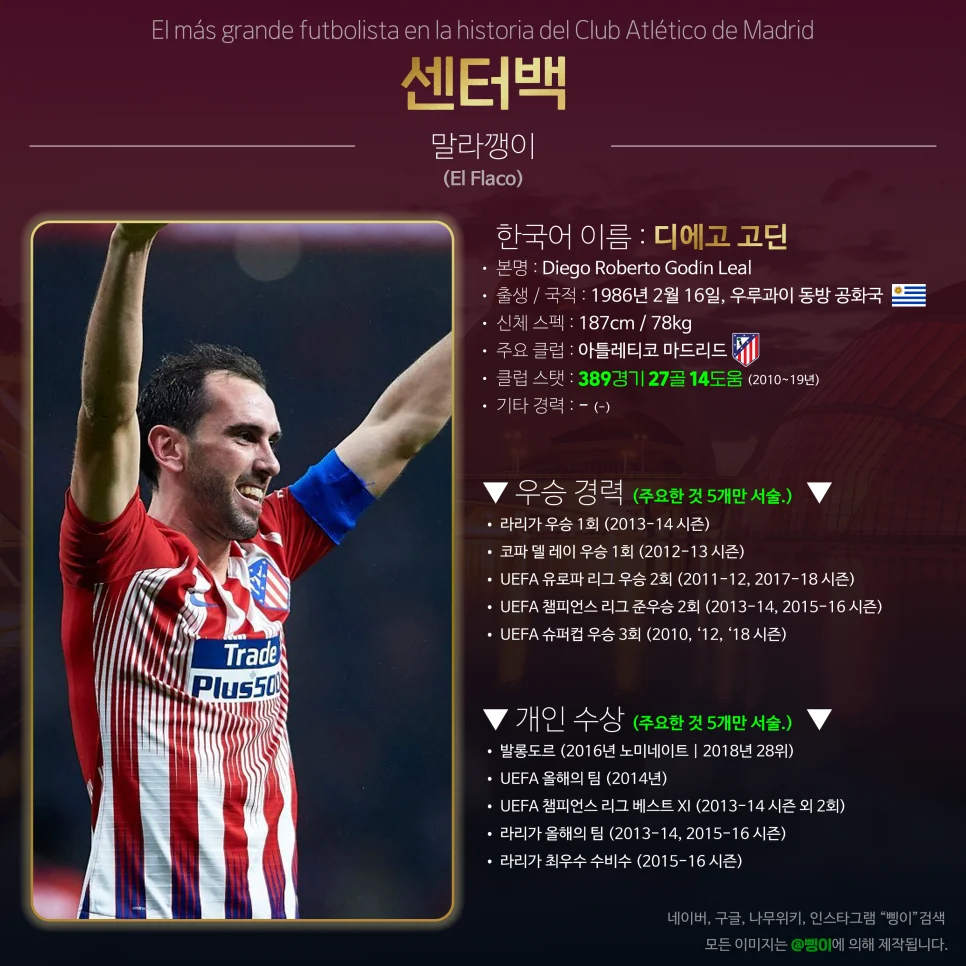 디에고 고딘 센터백 상세 정보 디자인