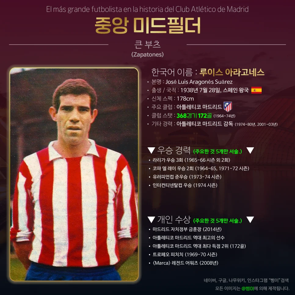 루이스 아라고네스 중앙 미드필더 상세 정보 디자인