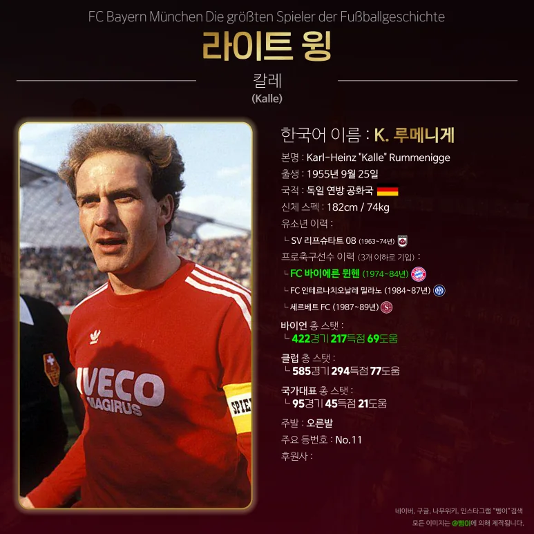 카를하인츠 루메니게 라이트윙 상세 정보 디자인