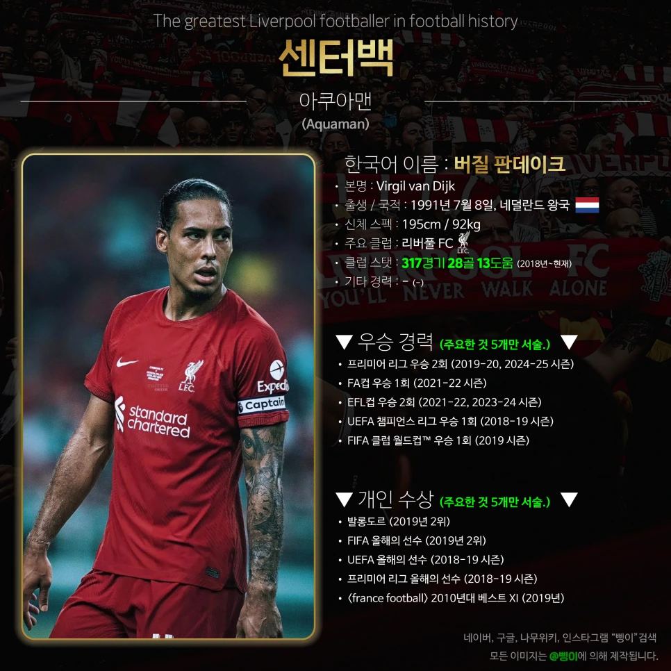 버질 판데이크 센터백 상세 정보 디자인